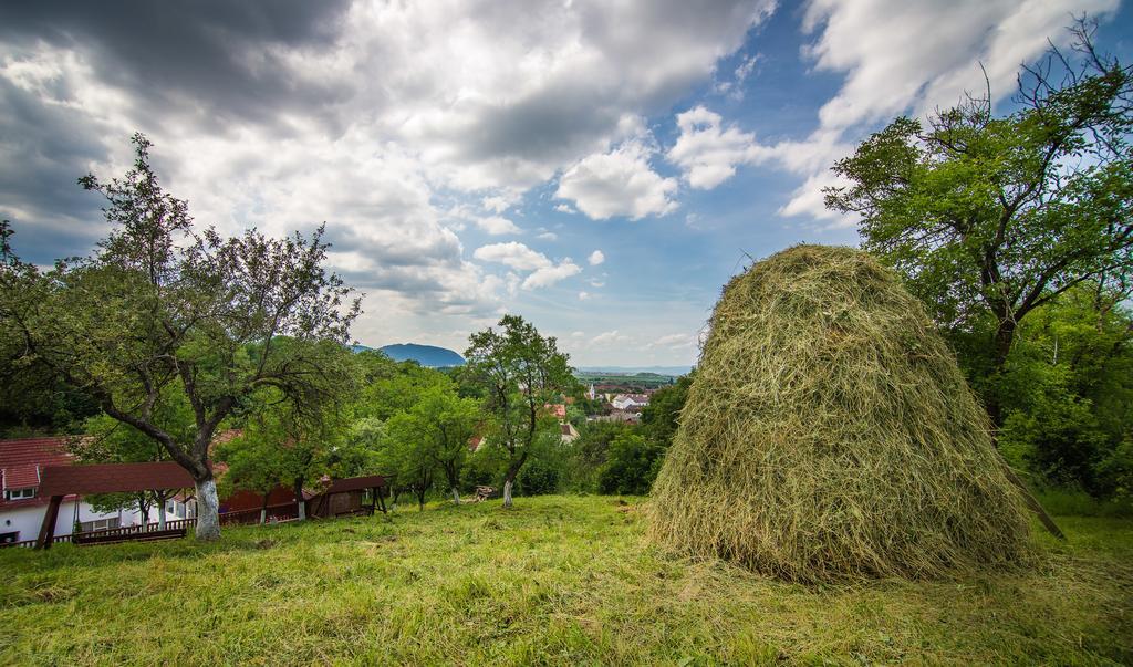 Pensiunea Tinelu Brasov Sacele Exterior photo
